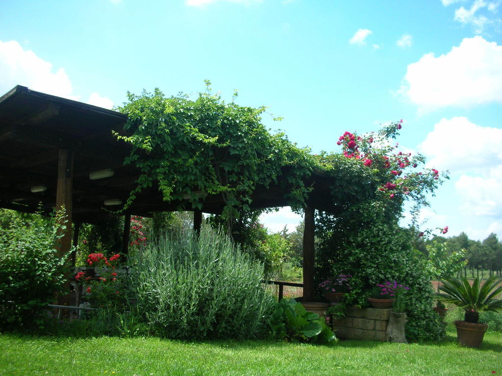 Podere Le Chiuse Sovana Exterior foto